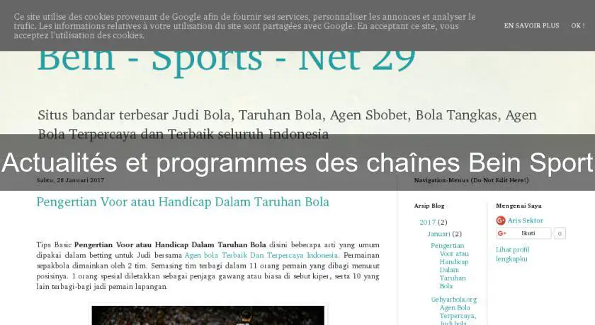 Actualités et programmes des chaînes Bein Sport