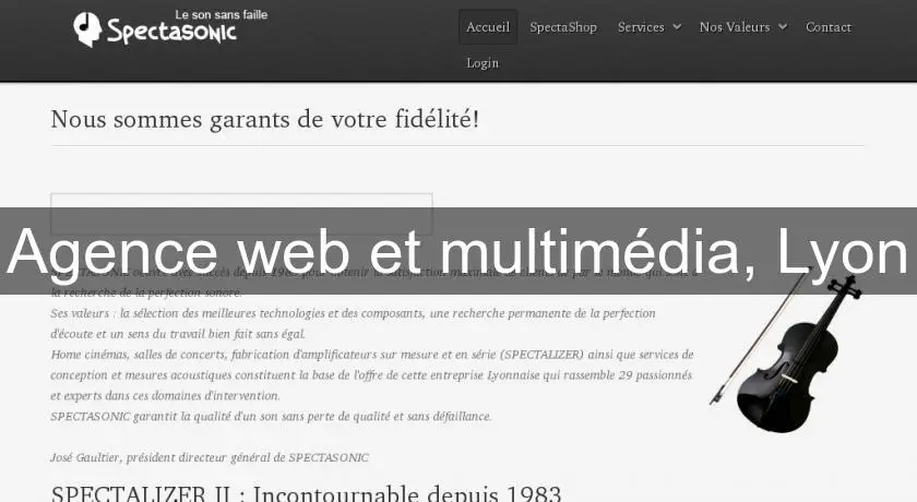 Agence web et multimédia, Lyon