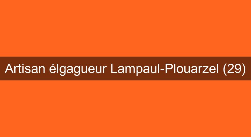 Artisan élgagueur Lampaul-Plouarzel (29)