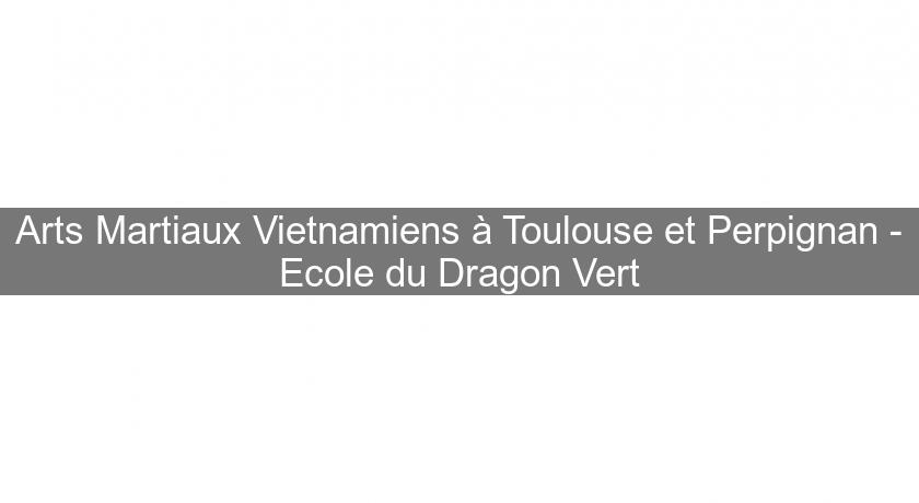 Arts Martiaux Vietnamiens à Toulouse et Perpignan - Ecole du Dragon Vert