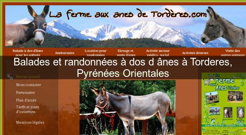 Balades et randonnées à dos d'ânes à Torderes, Pyrénées Orientales