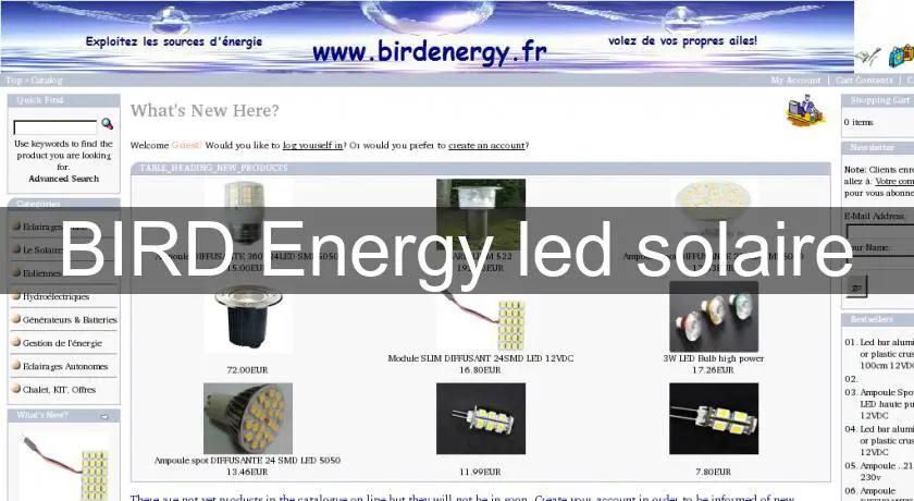 BIRD Energy led solaire