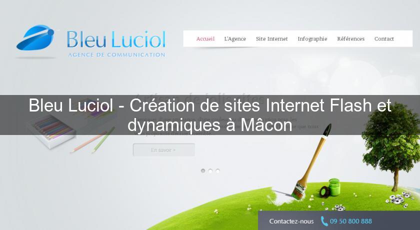 Bleu Luciol - Création de sites Internet Flash et dynamiques à Mâcon