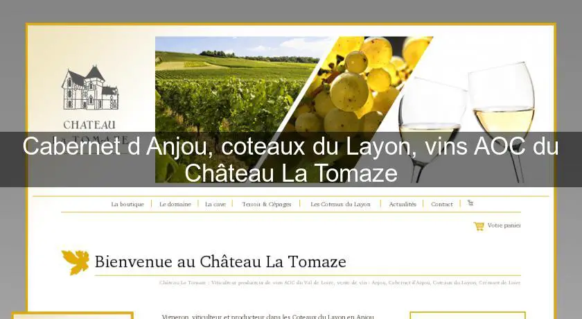 Cabernet d'Anjou, coteaux du Layon, vins AOC du Château La Tomaze