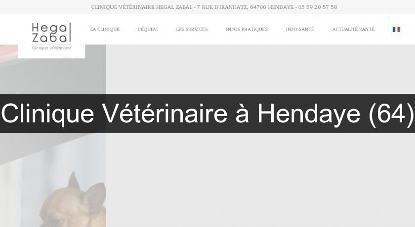 Clinique Vétérinaire à Hendaye (64)