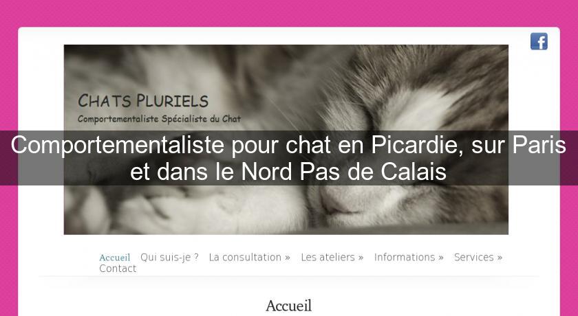 Comportementaliste pour chat en Picardie, sur Paris et dans le Nord Pas de Calais