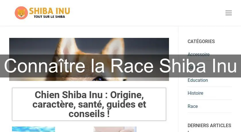 Connaître la Race Shiba Inu