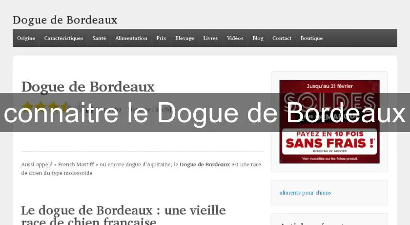 connaitre le Dogue de Bordeaux