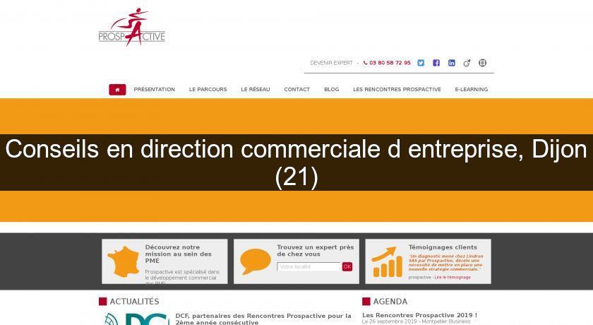 Conseils en direction commerciale d'entreprise, Dijon (21)