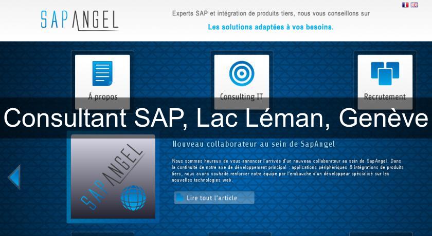 Consultant SAP, Lac Léman, Genève