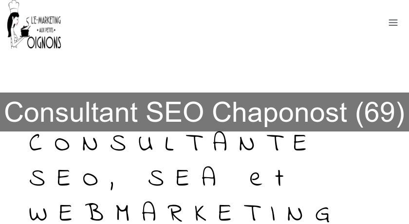 Consultant SEO Chaponost (69)