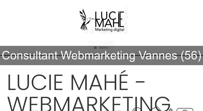Consultant Webmarketing Vannes (56)