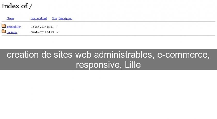 creation de sites web administrables, e-commerce, responsive, Lille