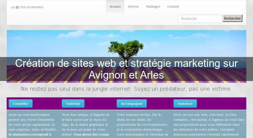 Création de sites web et stratégie marketing sur Avignon et Arles