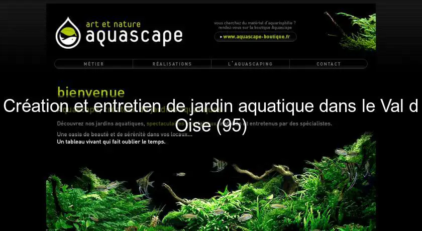 Création et entretien de jardin aquatique dans le Val d'Oise (95)