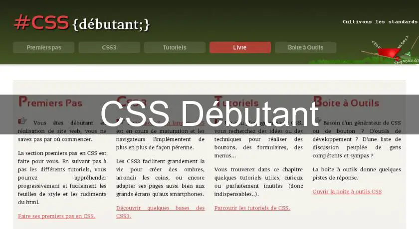 CSS Débutant