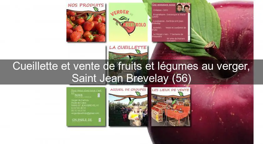 Cueillette et vente de fruits et légumes au verger, Saint Jean Brevelay (56)