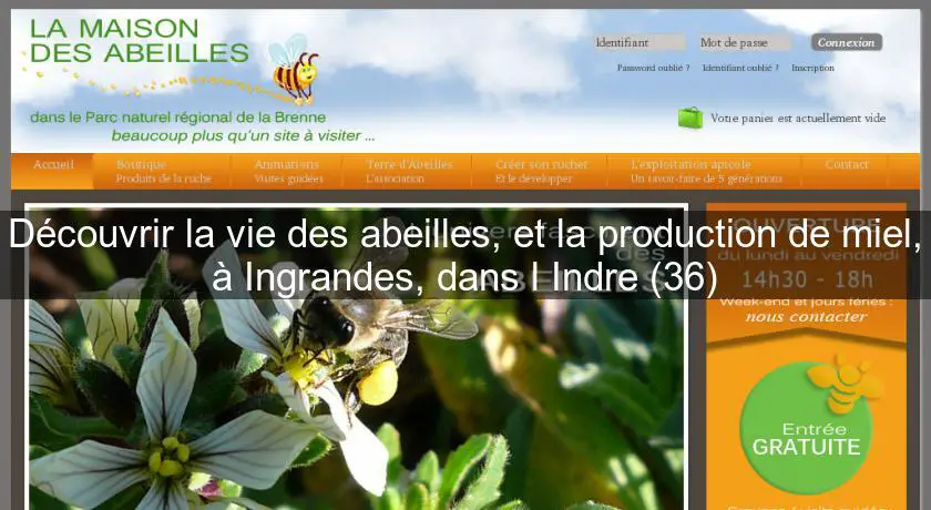 Découvrir la vie des abeilles, et la production de miel, à Ingrandes, dans l'Indre (36)