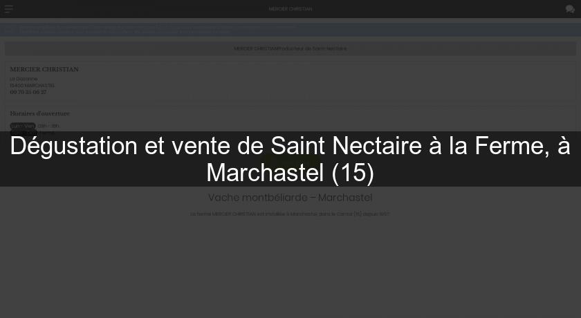 Dégustation et vente de Saint Nectaire à la Ferme, à Marchastel (15)