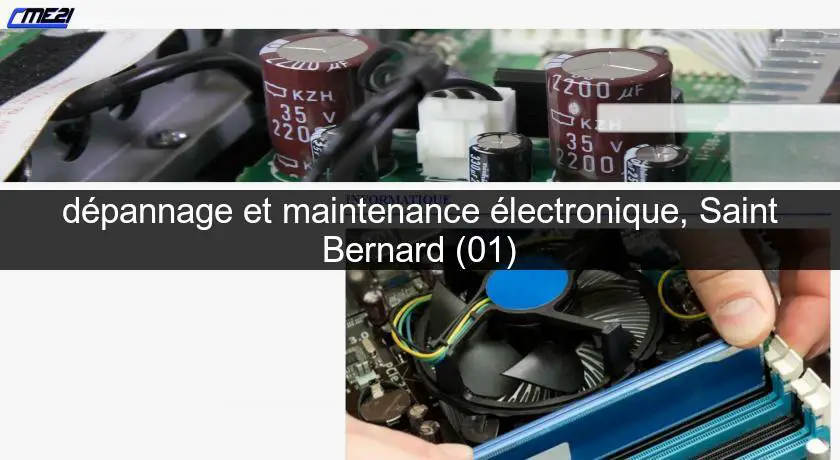 dépannage et maintenance électronique, Saint Bernard (01)