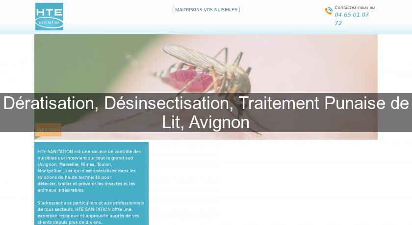 Dératisation, Désinsectisation, Traitement Punaise de Lit, Avignon