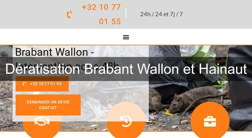 Dératisation Brabant Wallon et Hainaut