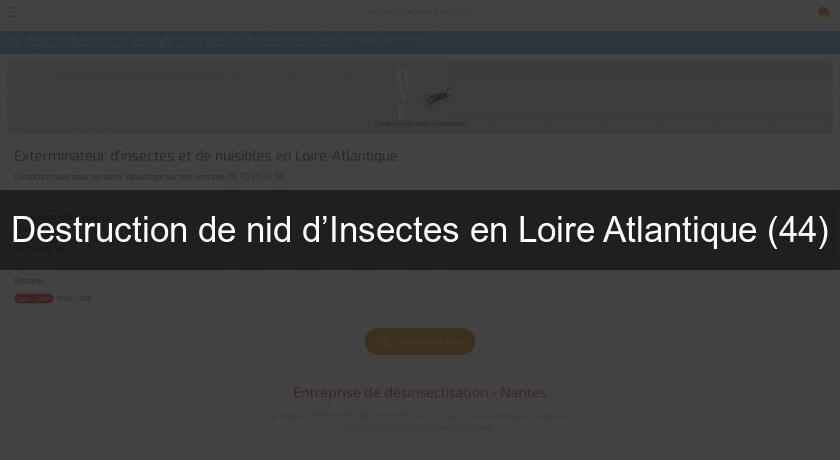 Destruction de nid d’Insectes en Loire Atlantique (44)