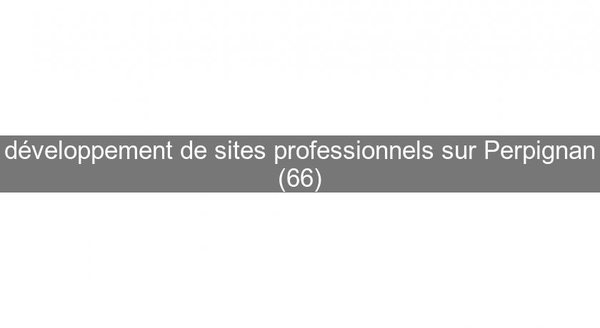 développement de sites professionnels sur Perpignan (66)