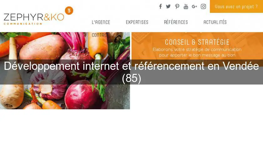 Développement internet et référencement en Vendée (85)