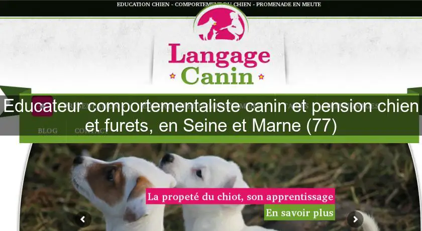 Educateur comportementaliste canin et pension chien et furets, en Seine et Marne (77)