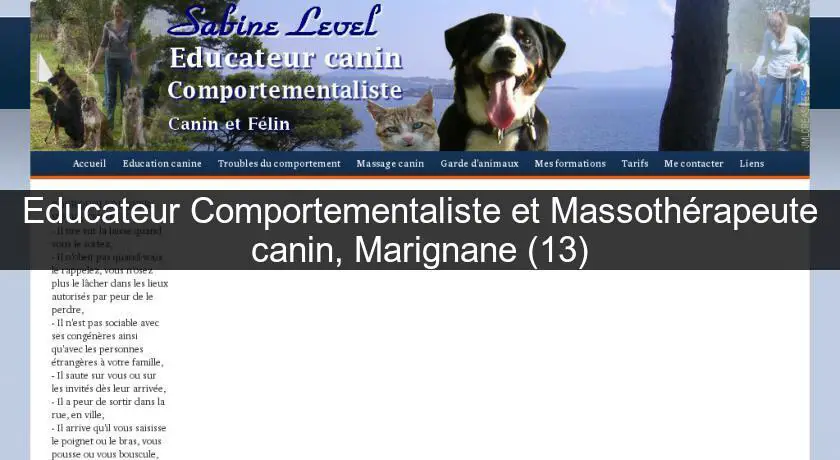 Educateur Comportementaliste et Massothérapeute canin, Marignane (13)
