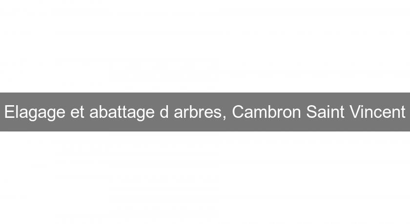 Elagage et abattage d'arbres, Cambron Saint Vincent