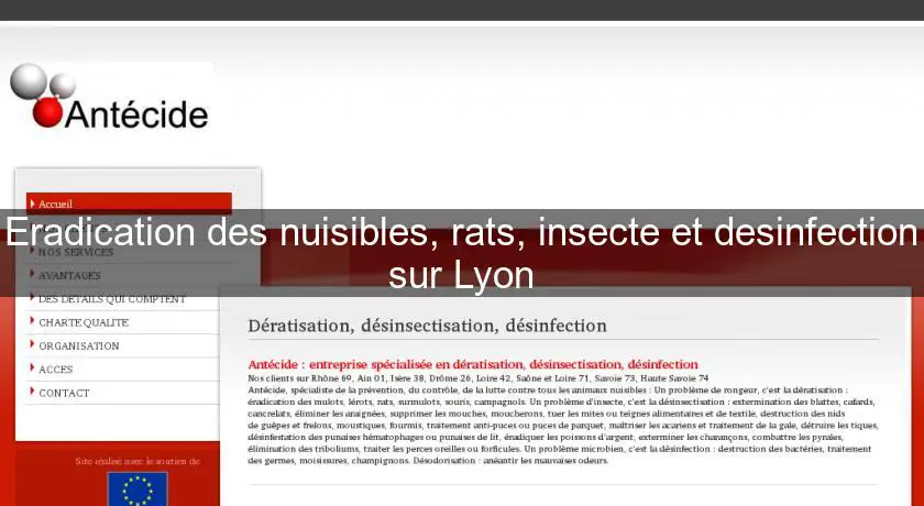 Eradication des nuisibles, rats, insecte et desinfection sur Lyon