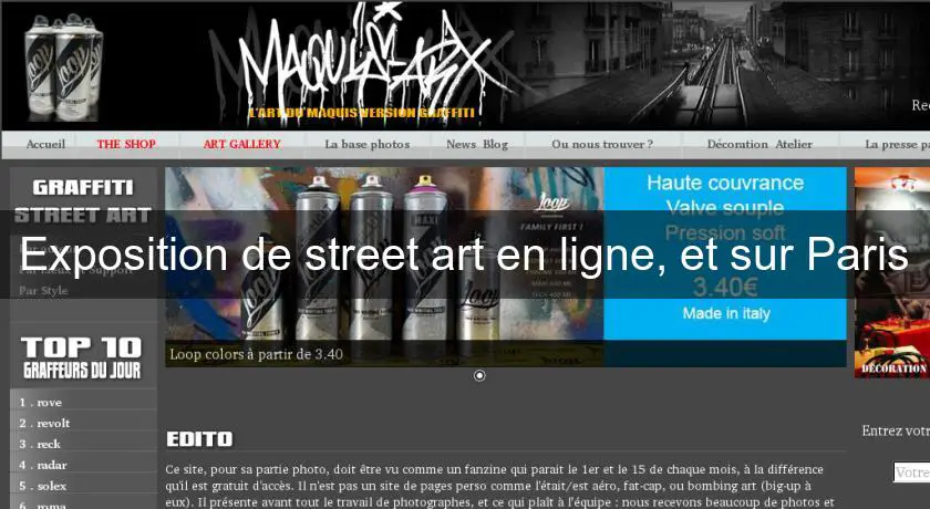 Exposition de street art en ligne, et sur Paris