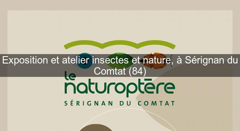 Exposition et atelier insectes et nature, à Sérignan du Comtat (84)