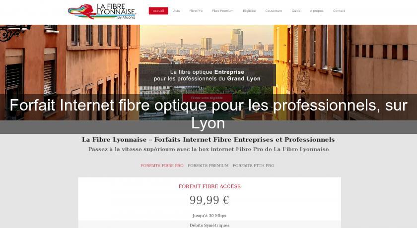 Forfait Internet fibre optique pour les professionnels, sur Lyon