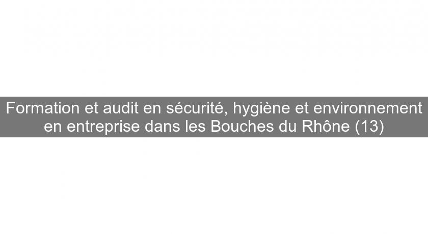 Formation et audit en sécurité, hygiène et environnement en entreprise dans les Bouches du Rhône (13)
