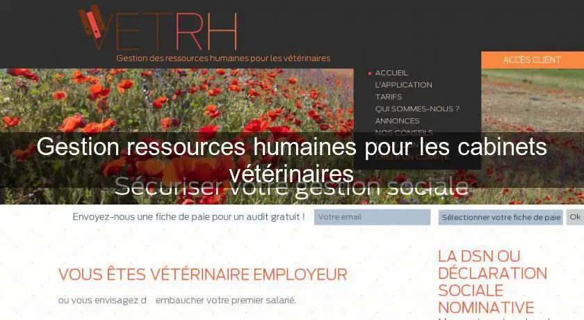 Gestion ressources humaines pour les cabinets vétérinaires