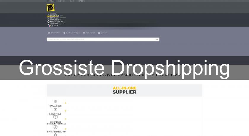 Grossiste Dropshipping