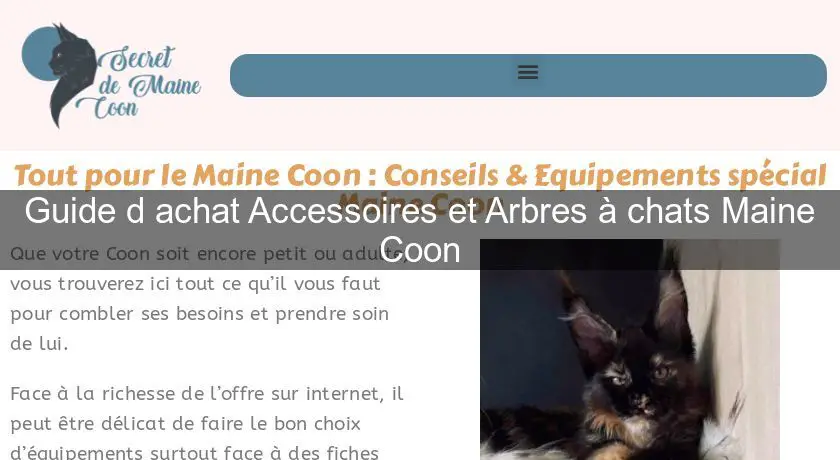 Guide d'achat Accessoires et Arbres à chats Maine Coon