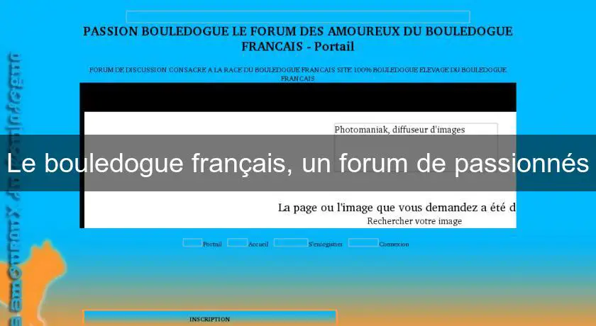 Le bouledogue français, un forum de passionnés