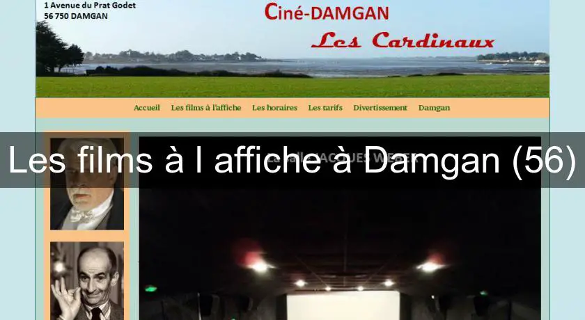 Les films à l'affiche à Damgan (56)