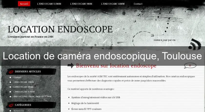 Location de caméra endoscopique, Toulouse