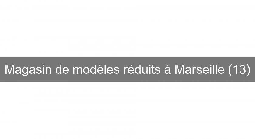 Magasin de modèles réduits à Marseille (13)