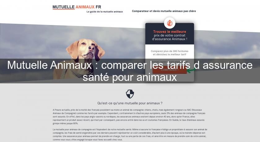 Mutuelle Animaux : comparer les tarifs d'assurance santé pour animaux
