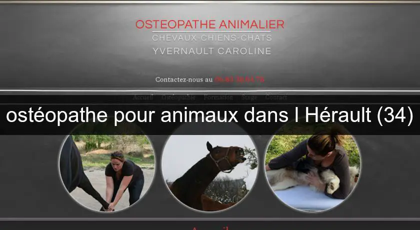 ostéopathe pour animaux dans l'Hérault (34)