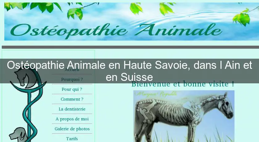 Ostéopathie Animale en Haute Savoie, dans l'Ain et en Suisse