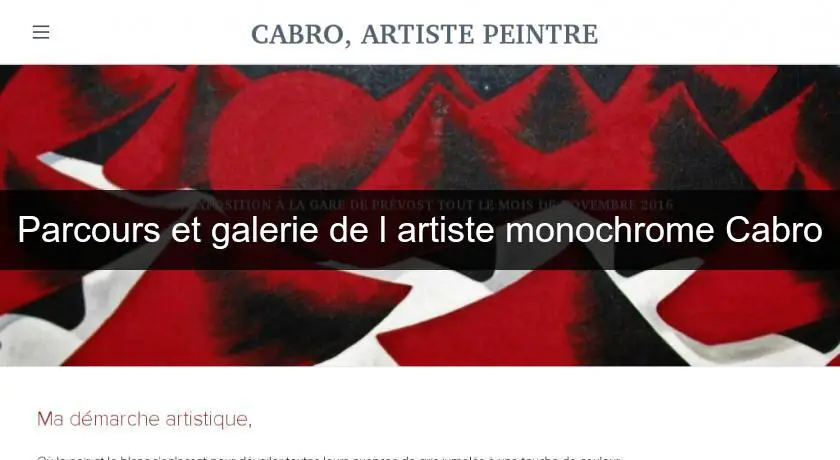 Parcours et galerie de l'artiste monochrome Cabro