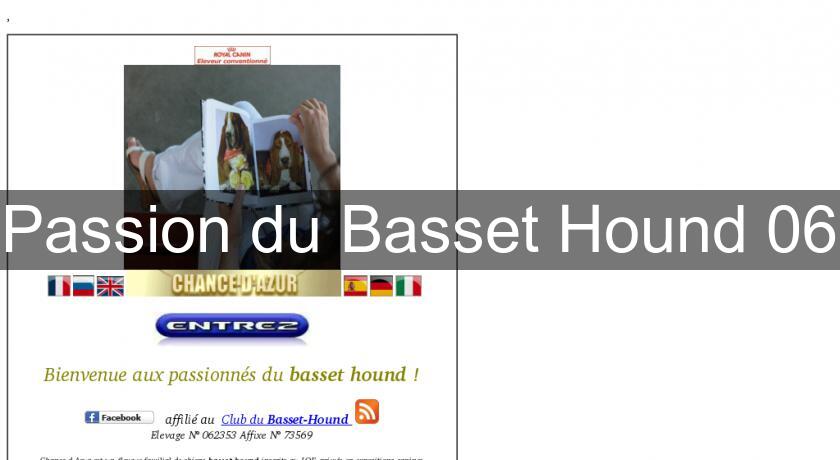Passion du Basset Hound 06