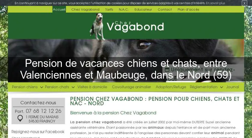 Pension de vacances chiens et chats, entre Valenciennes et Maubeuge, dans le Nord (59)